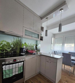 ADA View apartment